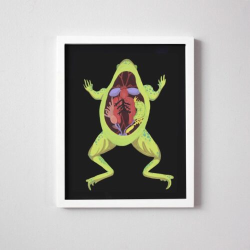 Frog Anatomy Art Print from Faye & Co.