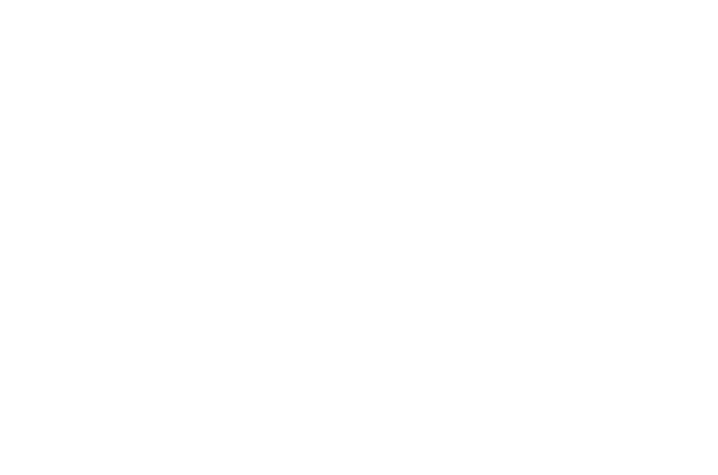 Faye & Co script logo in white