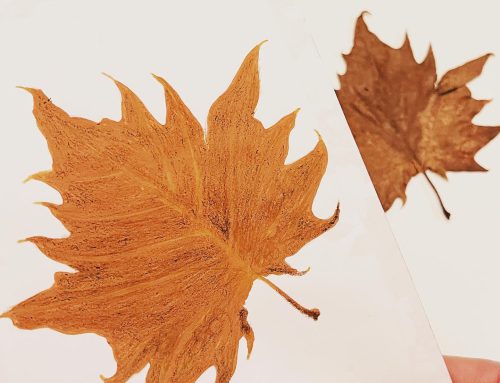 100 Leaf Project