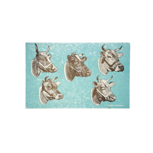 Vintage Postcard - Hoard's Dairyman Cows on Blue